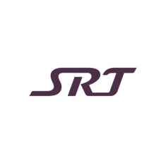 SRT 건강을 비누